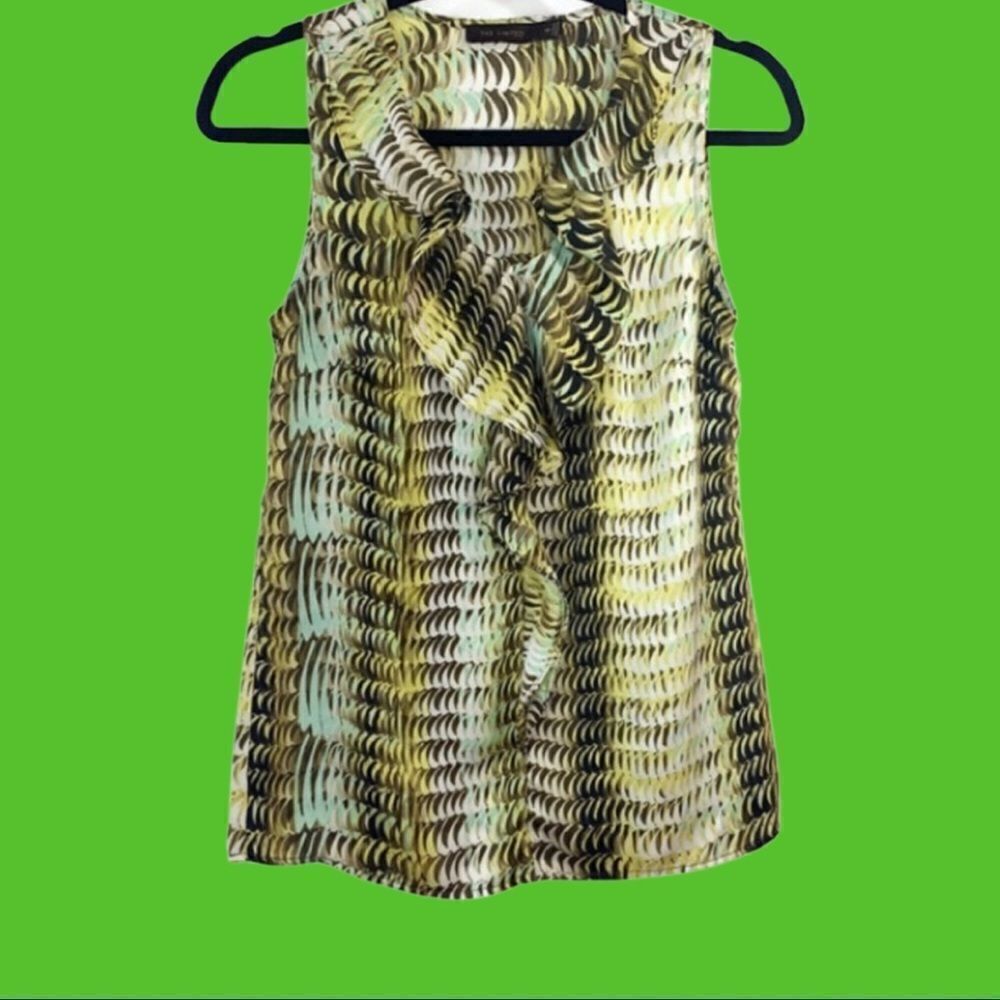 The Limited Ruffle V-Neck Sleeveless Blouse